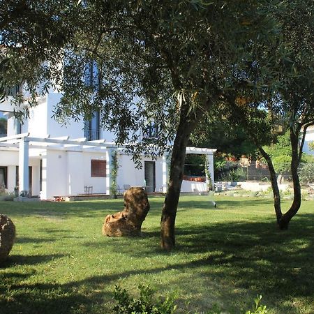 Villa La Conchiglia Rooms Cala Liberotto Exteriör bild