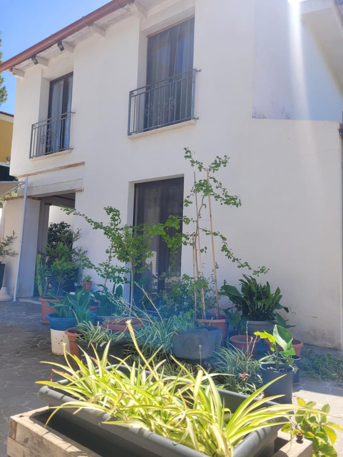 Villa La Conchiglia Rooms Cala Liberotto Exteriör bild
