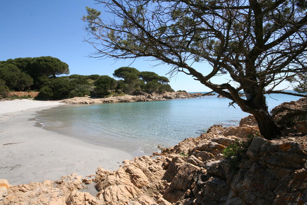 Villa La Conchiglia Rooms Cala Liberotto Exteriör bild